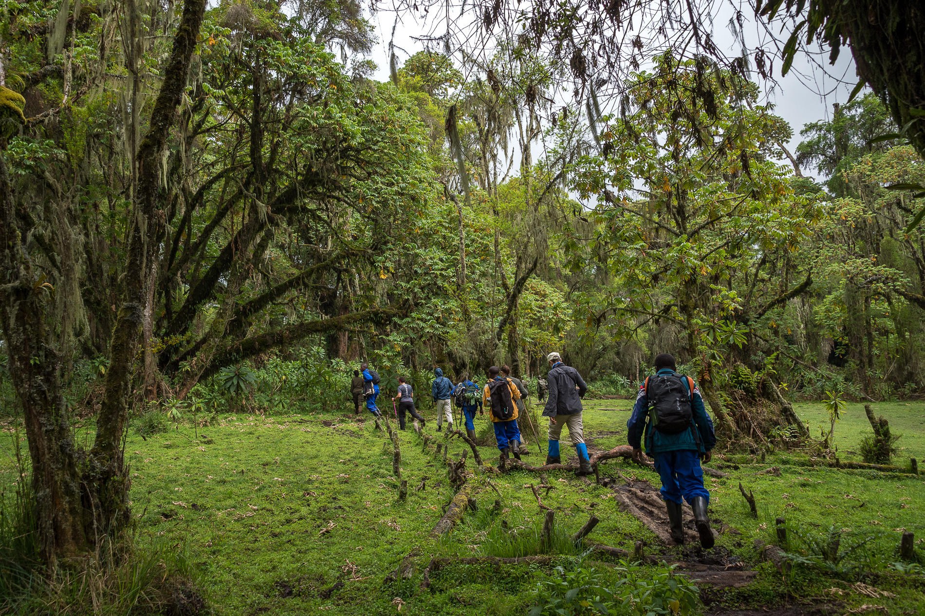 Rwanda volcanic landscape for The Explorer journey
